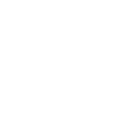 Salt & Sanctuary